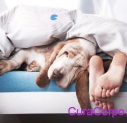Buon sonno by CuraCorpo.com