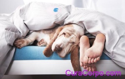 Buon sonno by CuraCorpo.com